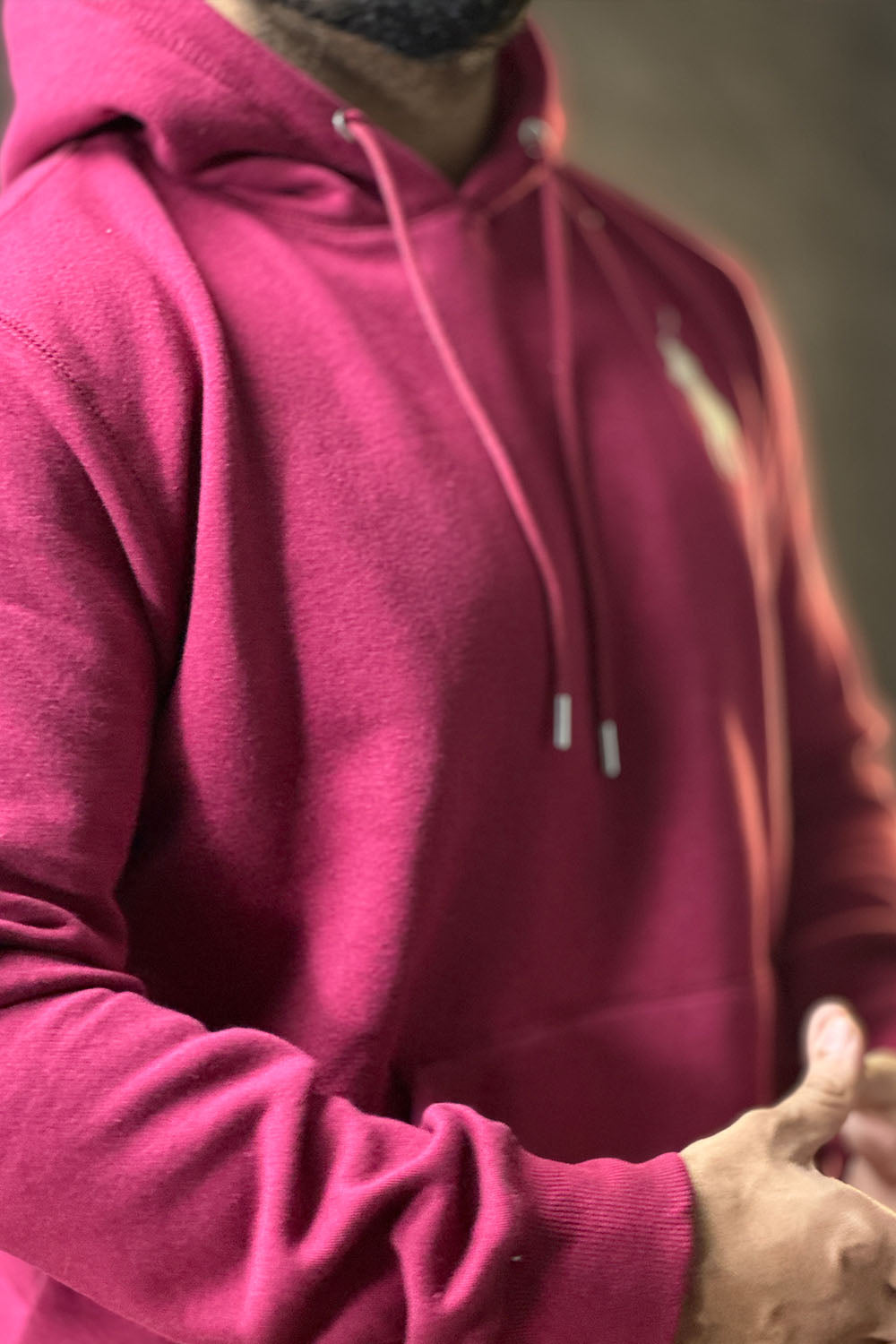 Polo Pull Over Hoodie - 1124191