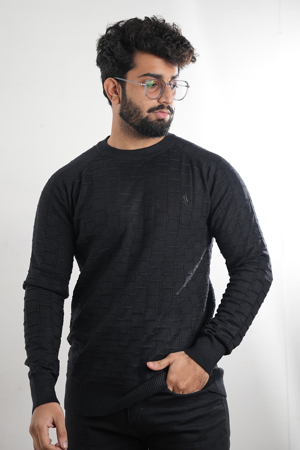 Self textured Sweat Shirt - 1125009